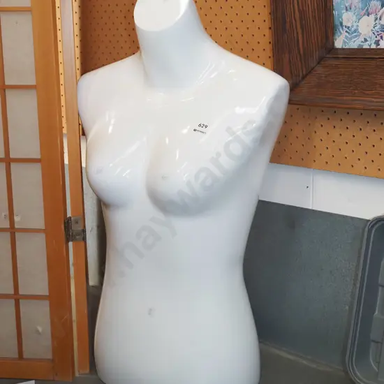 white plastic female shop mannequin H710