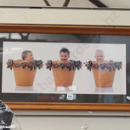 framed photo print - babies in planters