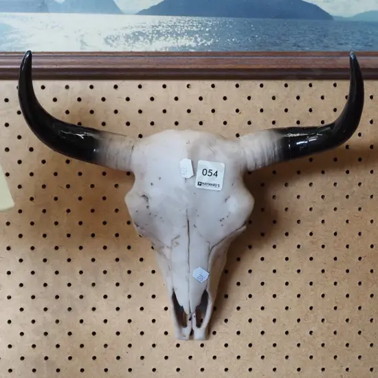 small plastic animal skull L-270