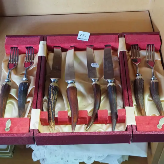 cased horn handled knife and fork set