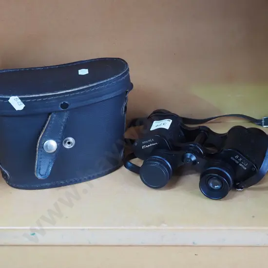 8x30 Hanimex binoculars
