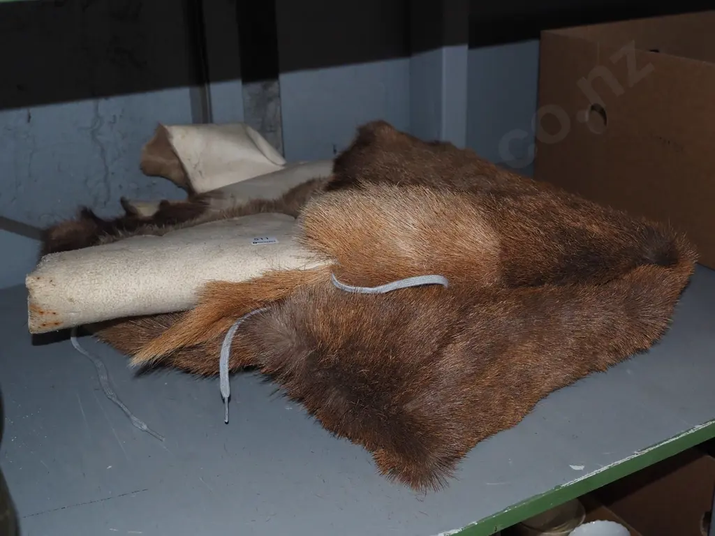 large animal pelt Image 1++