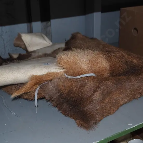large animal pelt