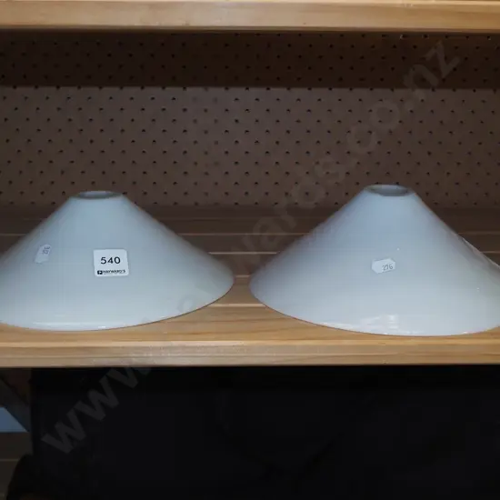 2x glass light shades