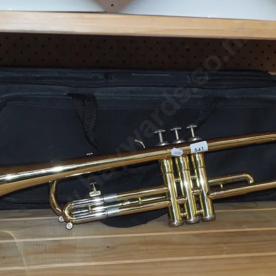 trumpet and carry case
