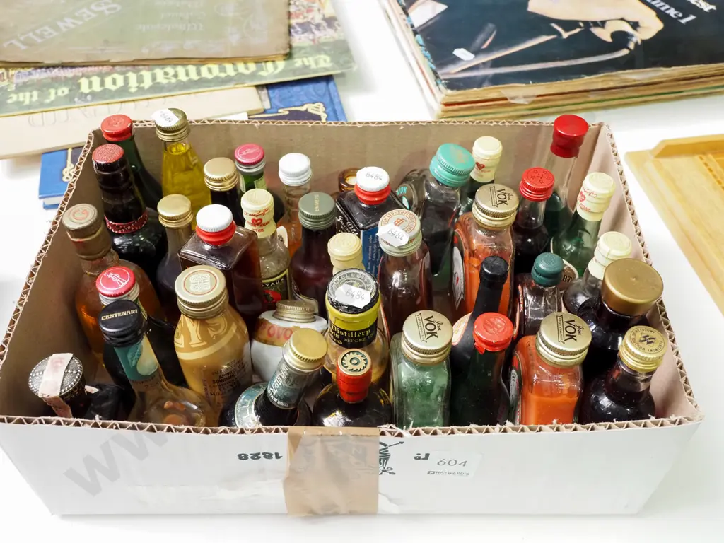 box of spirit miniatures Image 1++