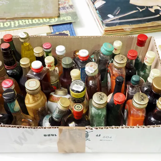 box of spirit miniatures