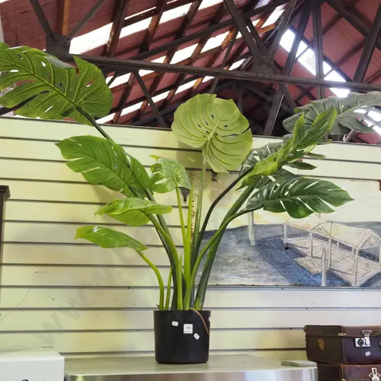 plastic plant in planter