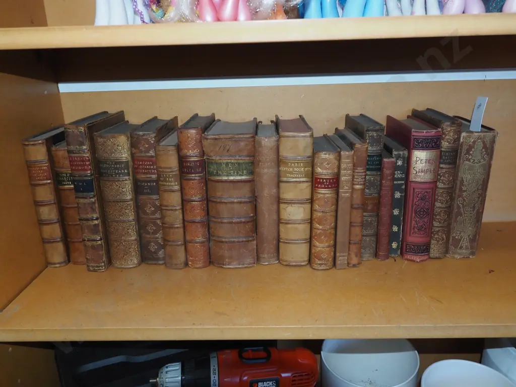 shelf; vintage leather bound books Image 1++