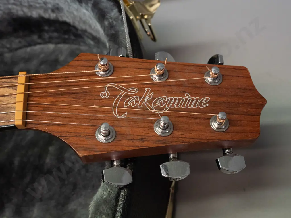 Takamine dreadnought acoustic guitar model GDE11MCE-NS in Ashton hard case. Minor usage wear and scratches, minor areas Image 1++