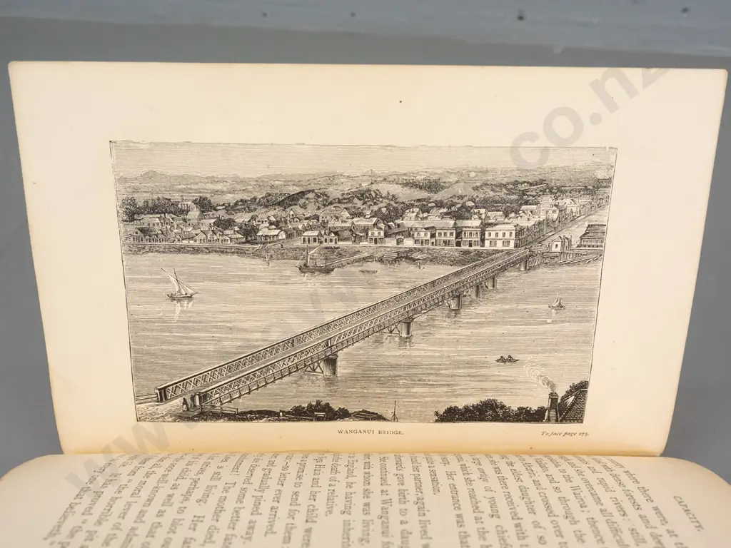 antique book: Forty Years in New Zealand by the Rev. James Buller, pub 1878 - age wear and foxing Image 1++