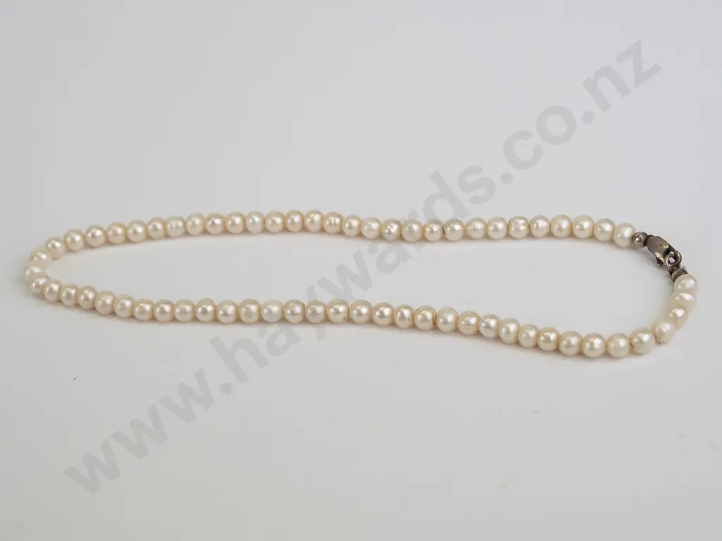 single strand Tamaya pearl necklace Image 1++