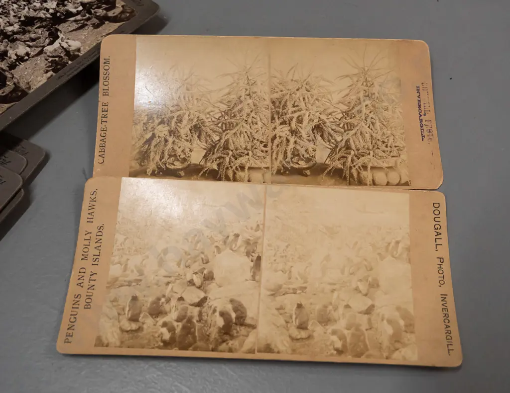 vintage stereoscope marked Underwood & Underwood New York and box of stereo view cards including New Zealand scenes Image 1++