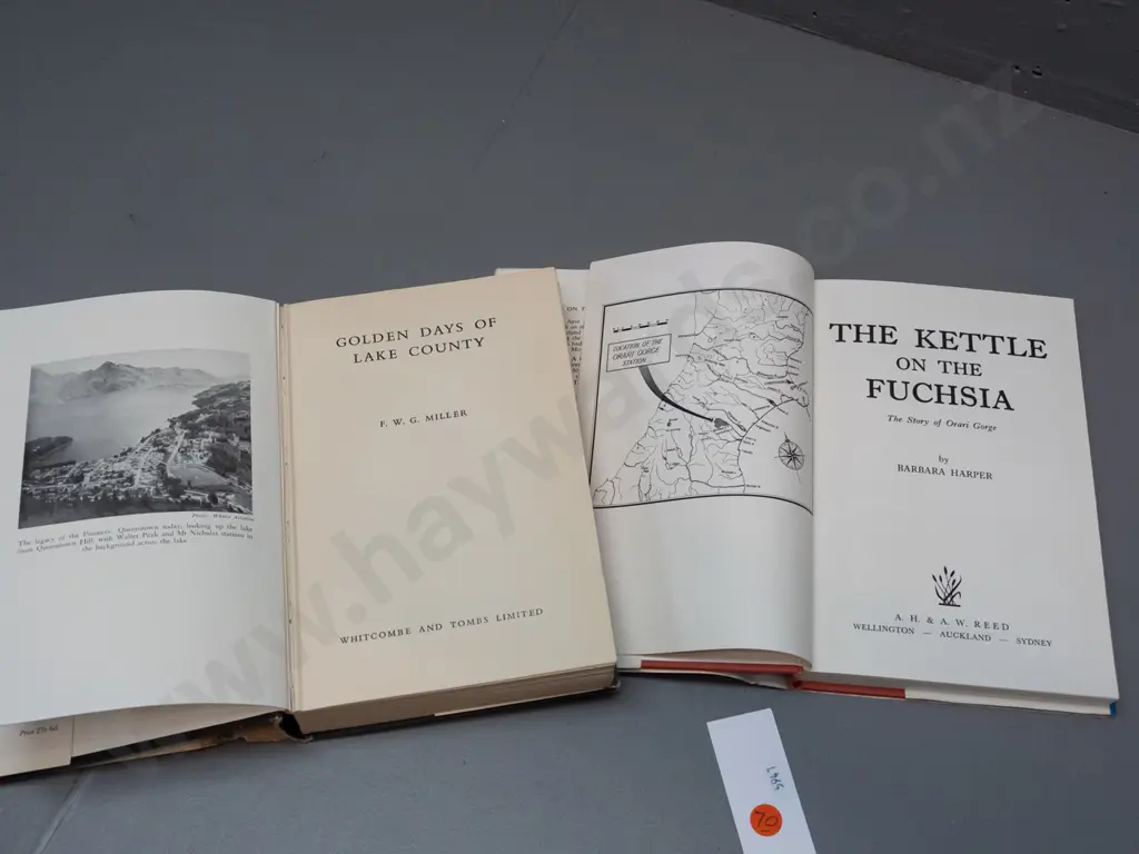 7 books - Otago and Southland local histories - Mona Anderson, Remarkables Station, Story of Orari Gorge, etc. - some Image 1++