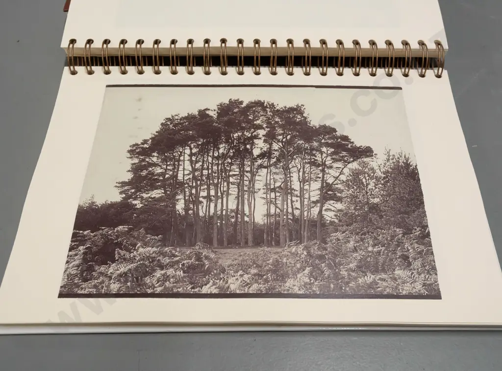 slip-cased 2-volume Hardwicke Knight book set - signed by author - limited edition 55 of 200 - photographs of William Image 1++