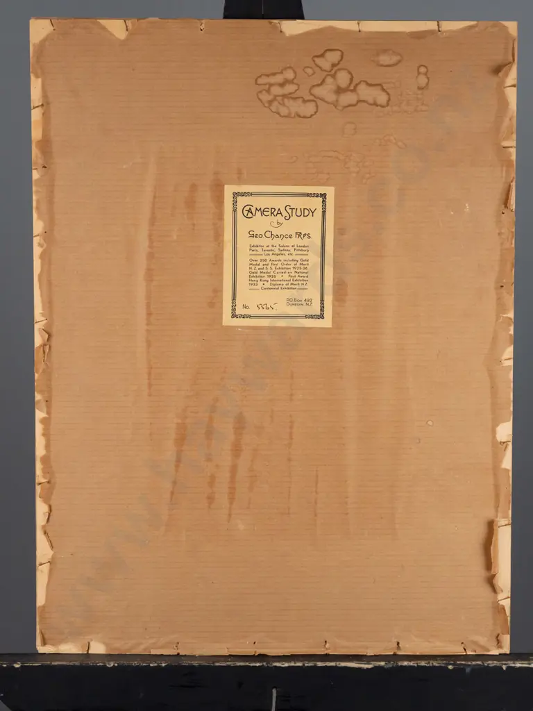 George Chance unframed vintage black & white photograph, "Stately Gums", H-260 W-210 Image 1++