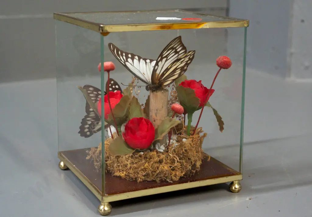 glass-cased ornament with 2 butterflies on faux flowers H-125 W-110 D-110 Image 1++