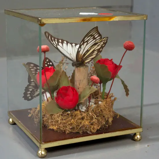 glass-cased ornament with 2 butterflies on faux flowers H-125 W-110 D-110