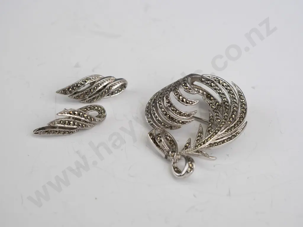 costume brooch & earrings Image 1++