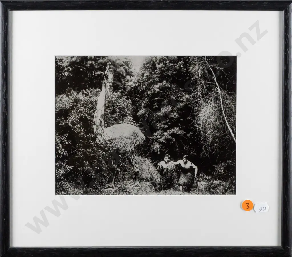 framed reproduction mock moa hunt photograph H170 W220 Image 1++