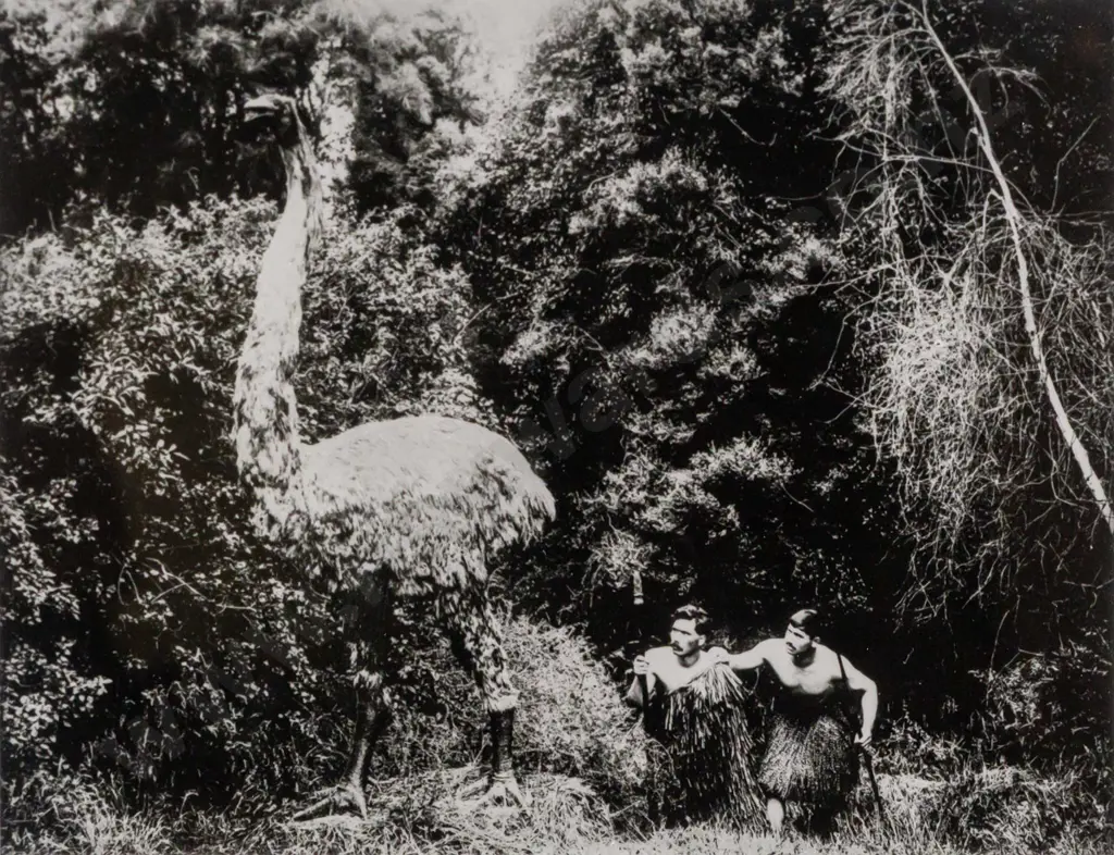 framed reproduction mock moa hunt photograph H170 W220 Image 1++