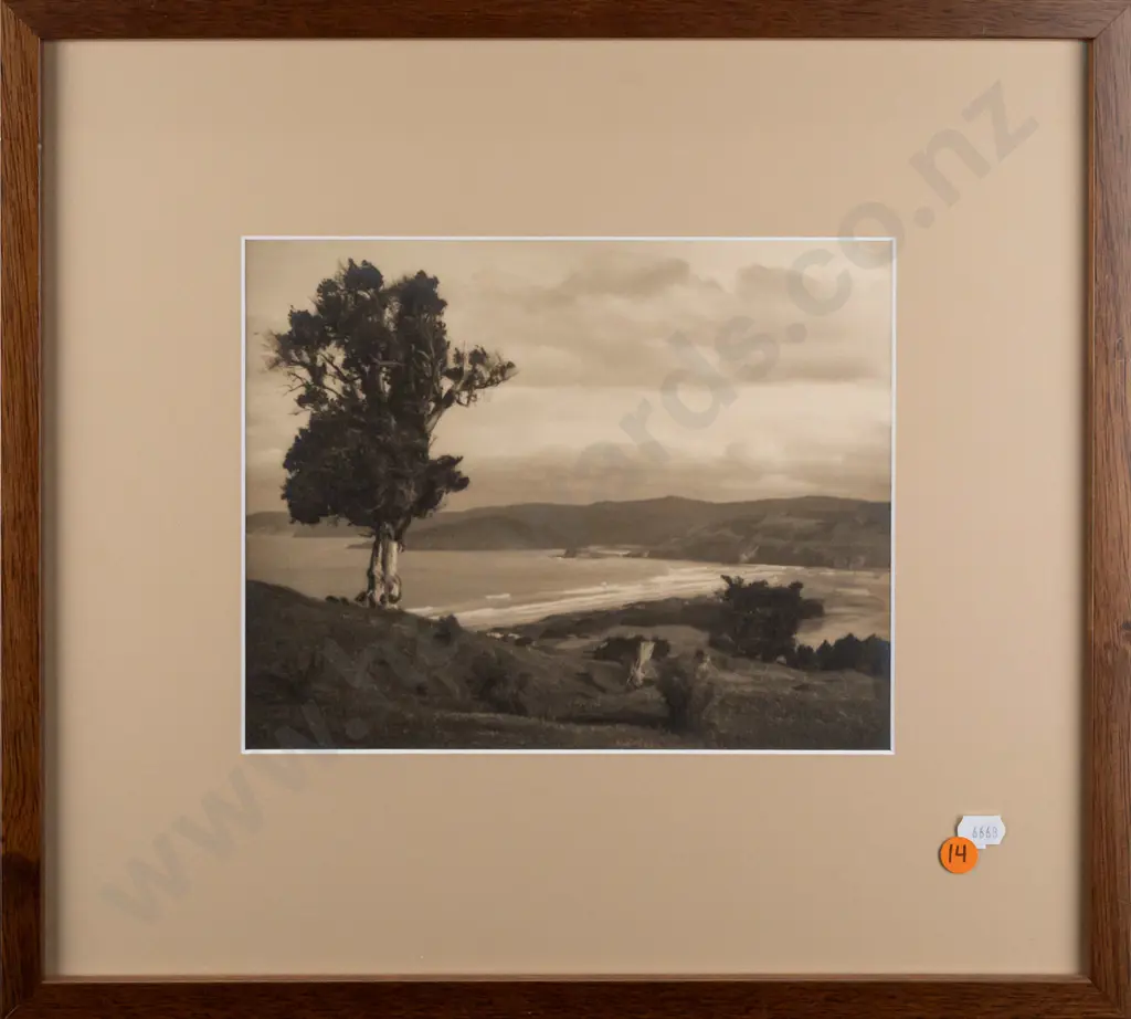 George Chance -- framed photograph, overlooking Blueskin Bay Warrington, H-190 W-240 Image 1++