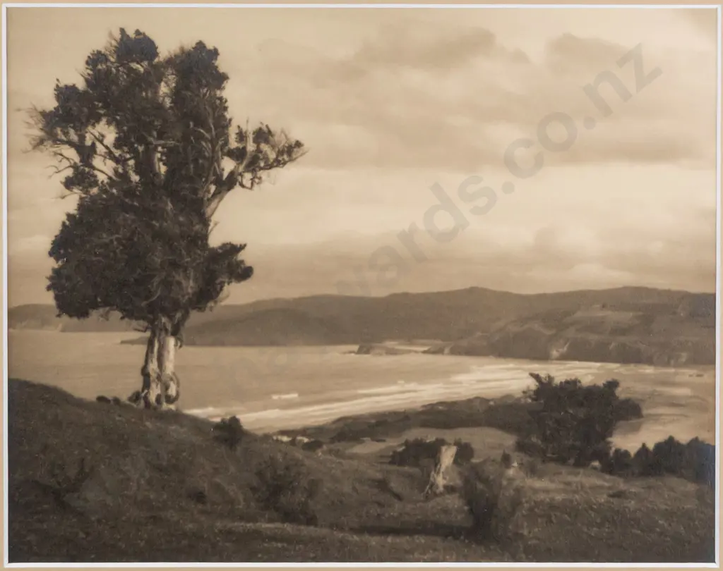 George Chance -- framed photograph, overlooking Blueskin Bay Warrington, H-190 W-240 Image 1++