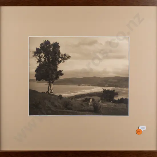 George Chance -- framed photograph, overlooking Blueskin Bay Warrington, H-190 W-240