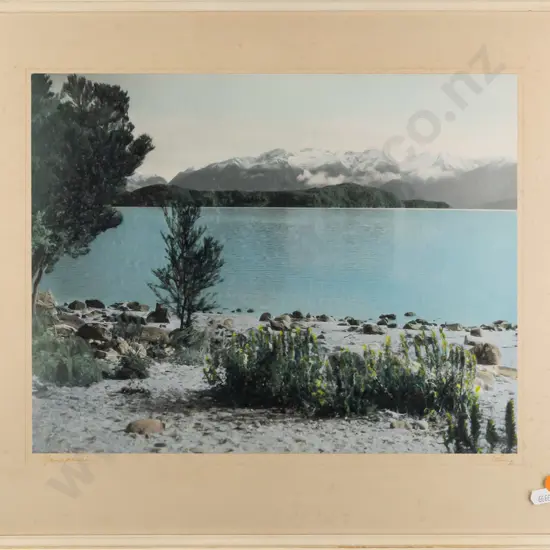 Whites Aviation -- framed hand-coloured photograph "No. 53352 Manapouri" H-290 W-370 [foxing, discolouration]