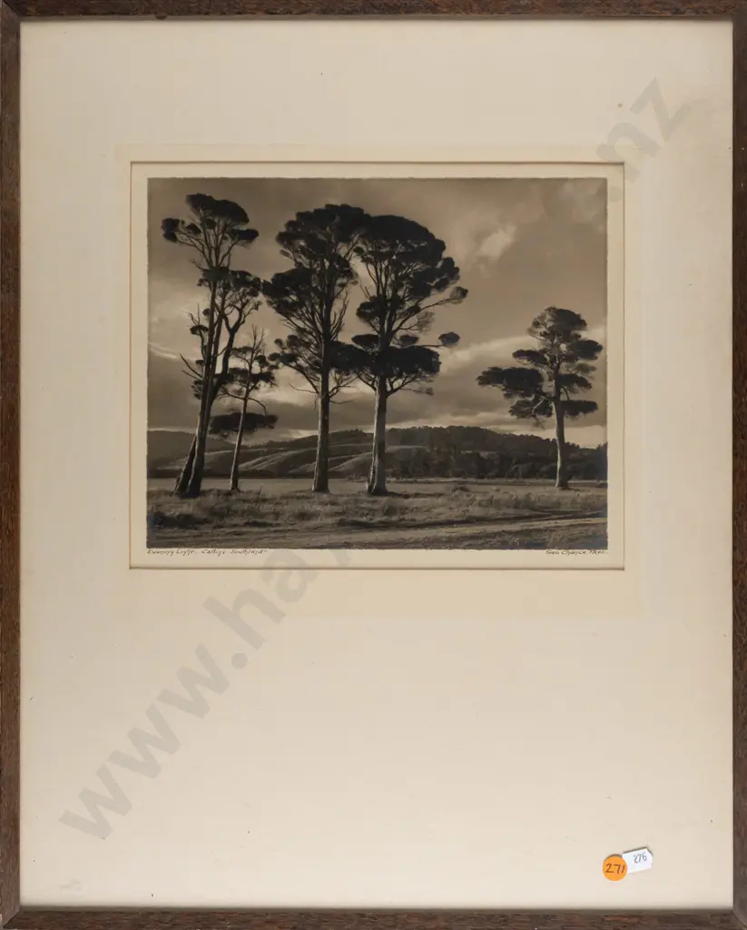 George Chance -- framed photograph "Evening Light Catlins Southland" H-225 W-275 Image 1++