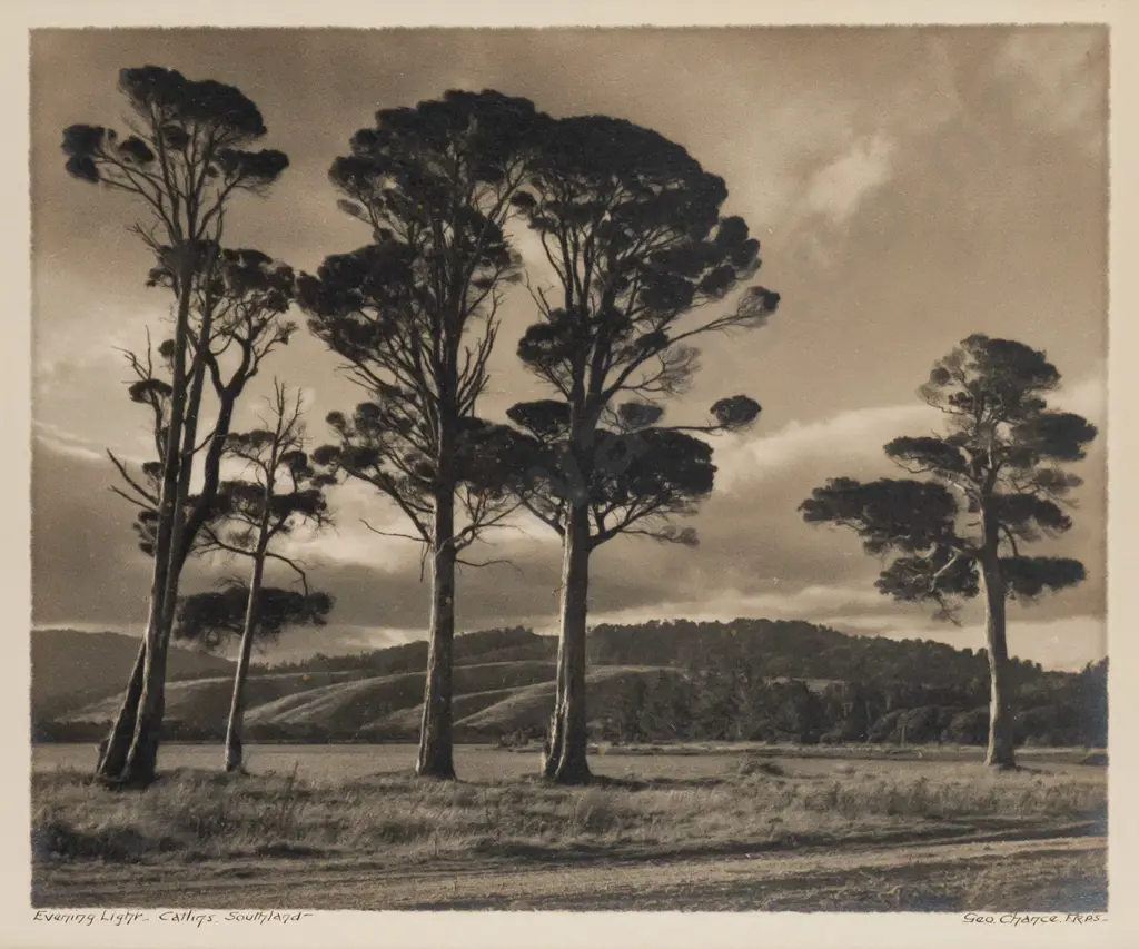 George Chance -- framed photograph "Evening Light Catlins Southland" H-225 W-275 Image 1++