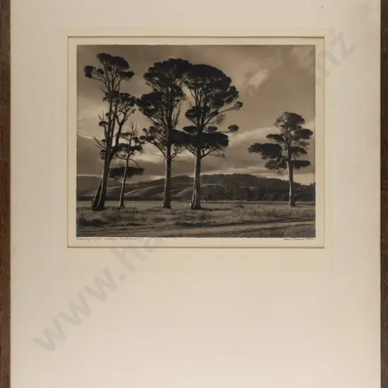 George Chance -- framed photograph "Evening Light Catlins Southland" H-225 W-275