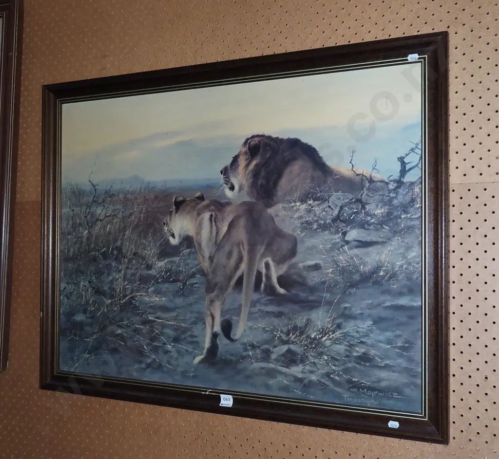 framed print - lions Image 1++