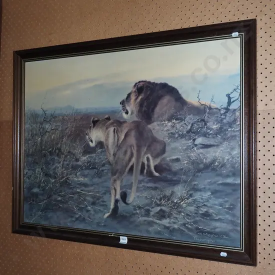 framed print - lions