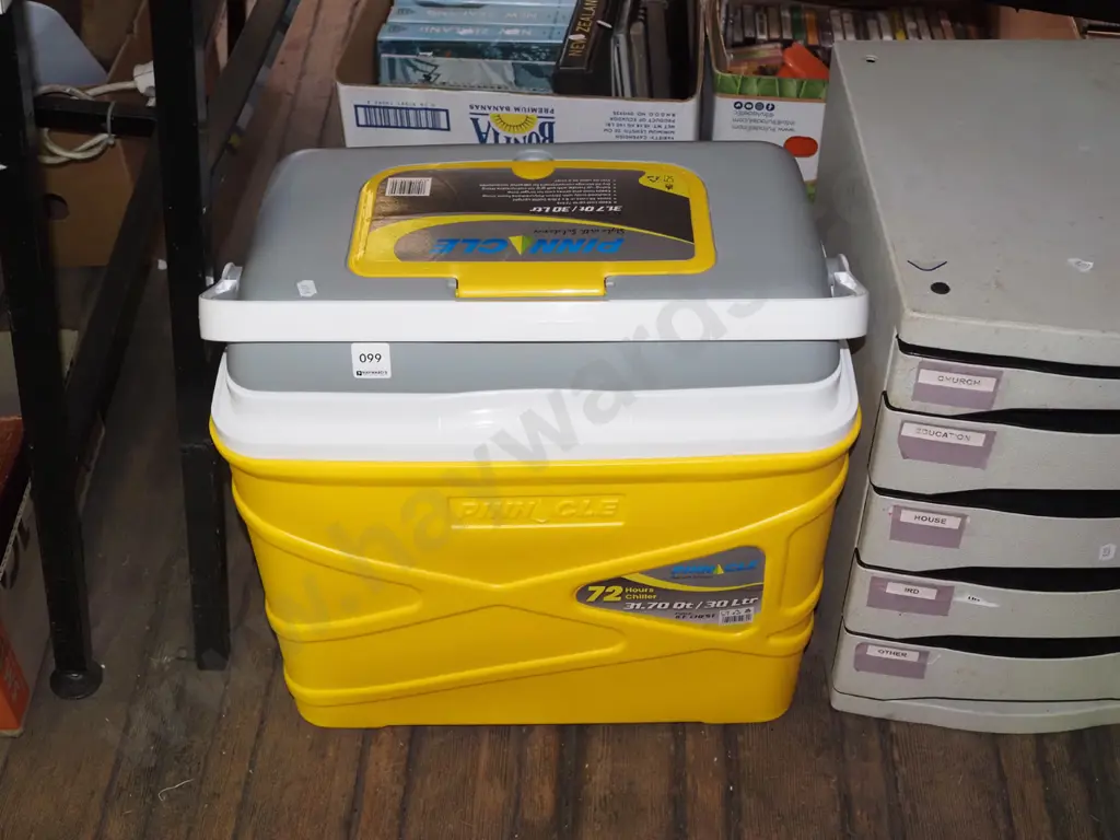 Pinnacle chilly bin Image 1++