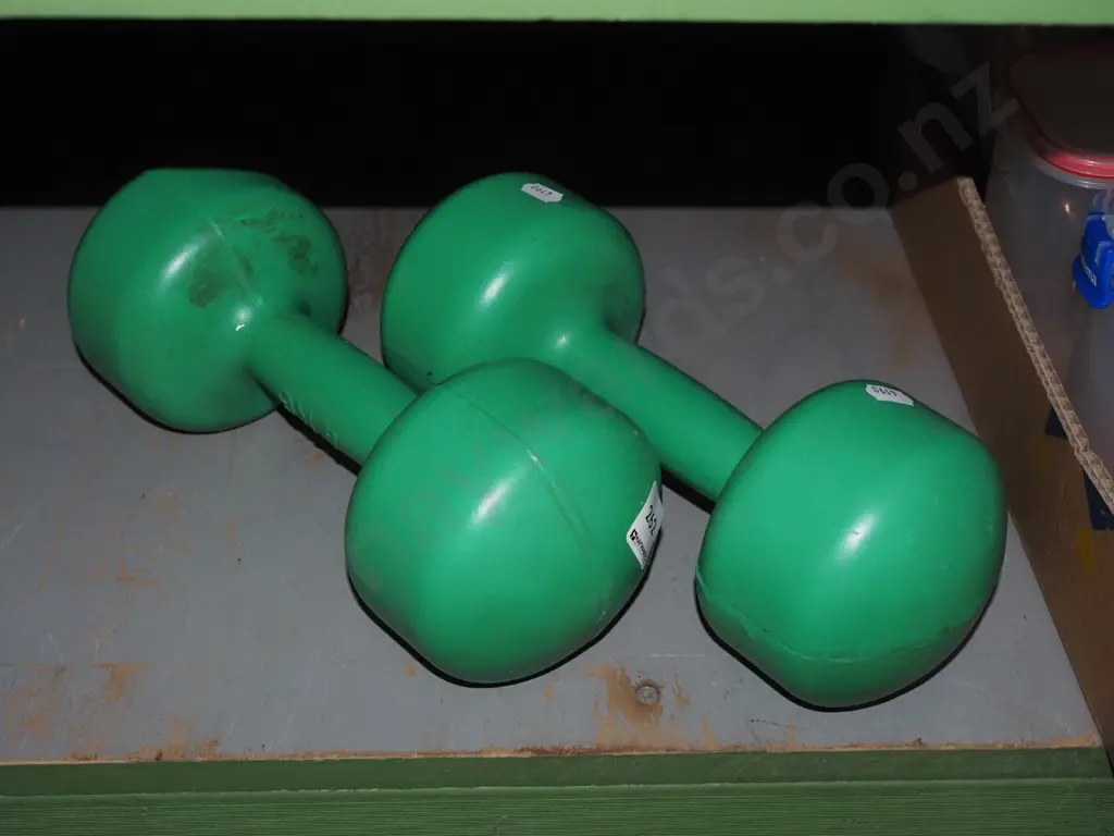 pair of 4kg hand weights Image 1++