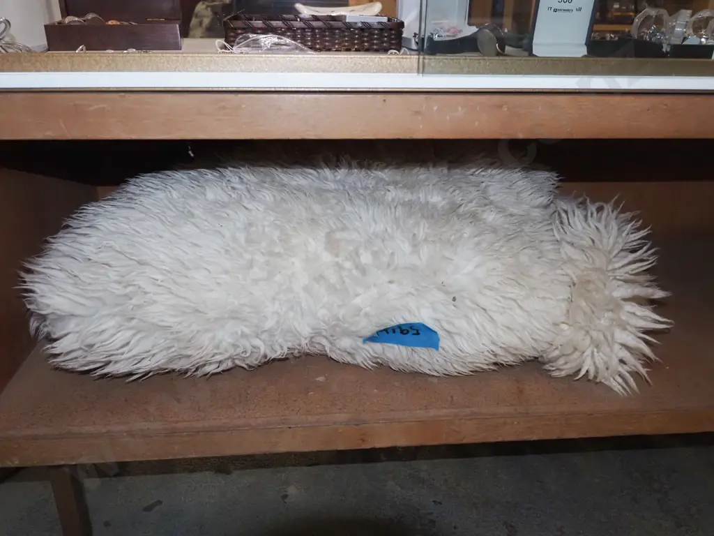 sheepskin L1760 W700 Image 1++