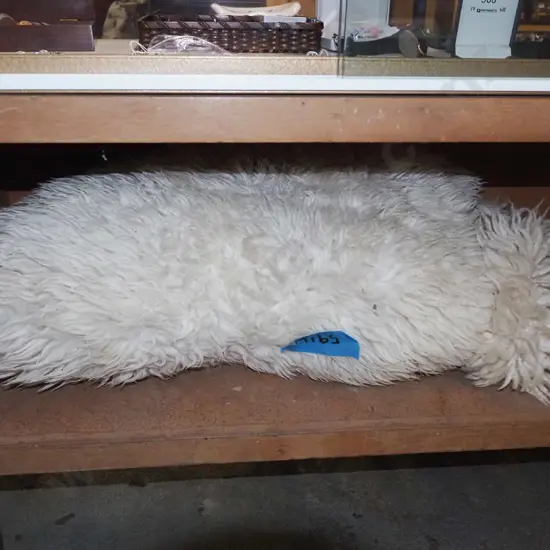 sheepskin L1760 W700