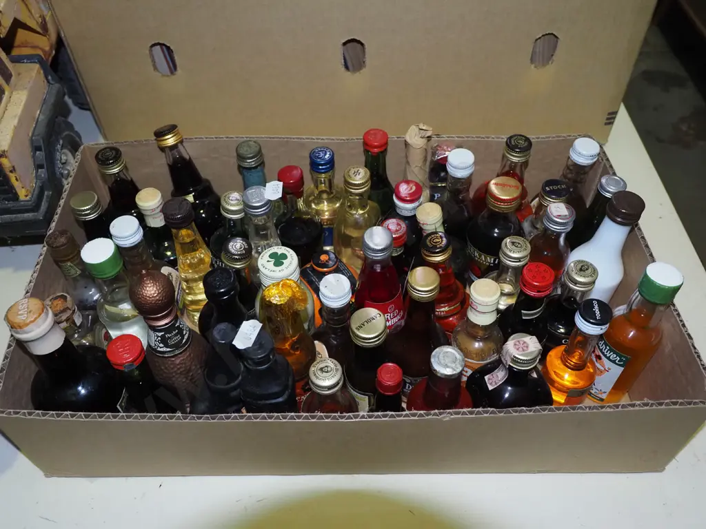 box of spirit miniatures Image 1++