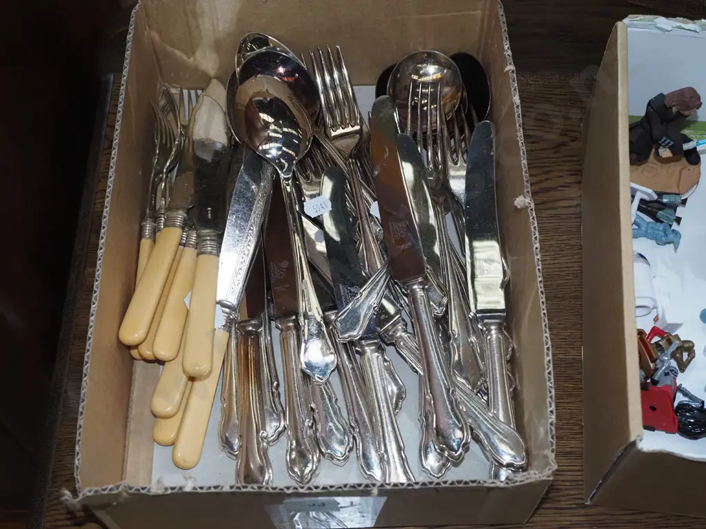 box of cutlery, bone-handled fish set Image 1++
