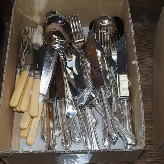 box of cutlery, bone-handled fish set