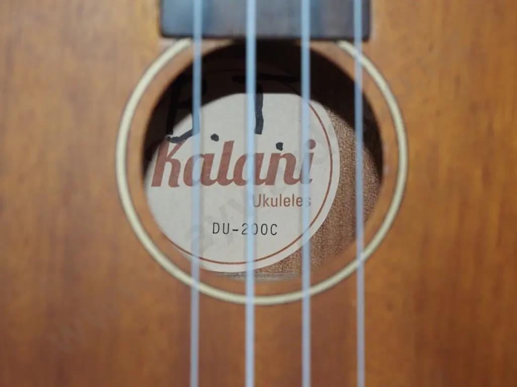 Kalani ukele with strap and case Image 1++