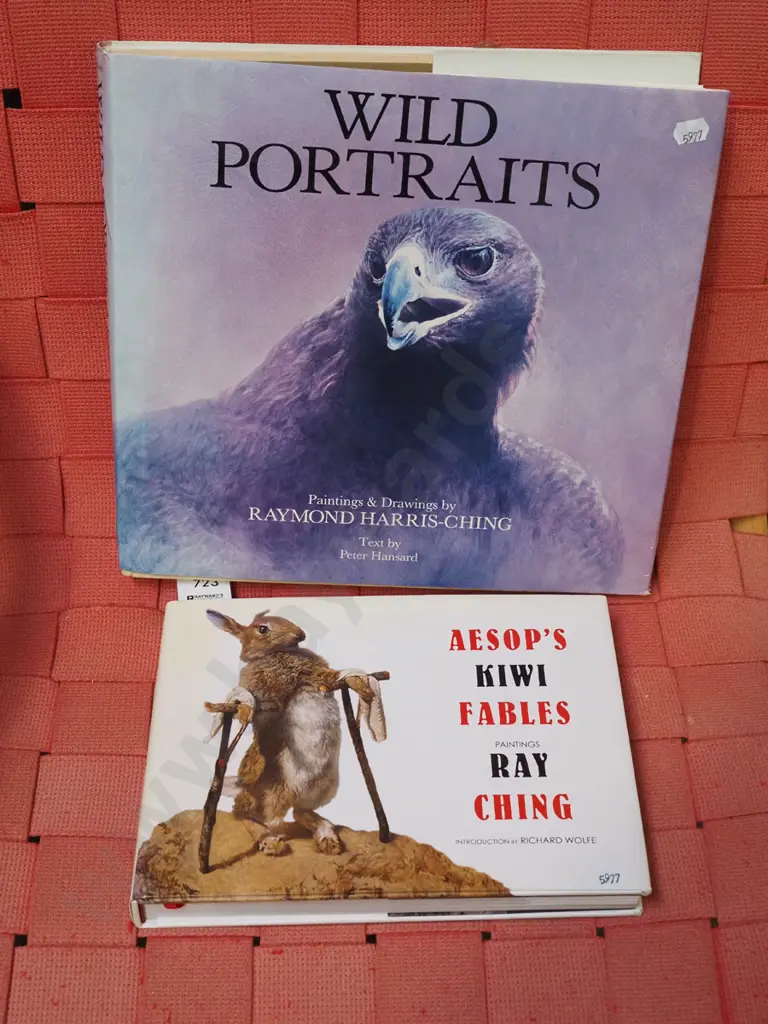 2x Raymond Ching art books Image 1++