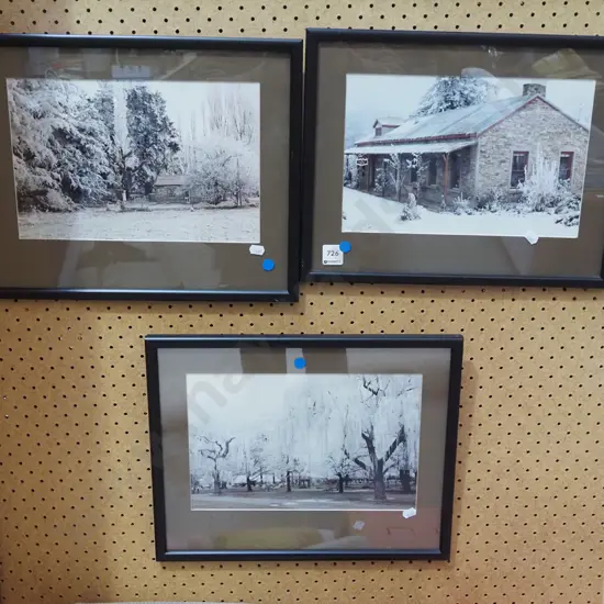 3x framed photo prints - haw frost - blue dots