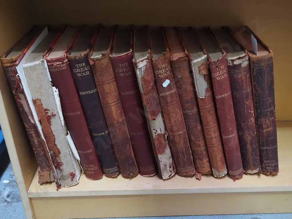 shelf of various volumes The Great War Image 1++