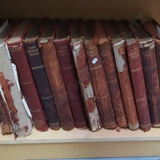 shelf of various volumes The Great War