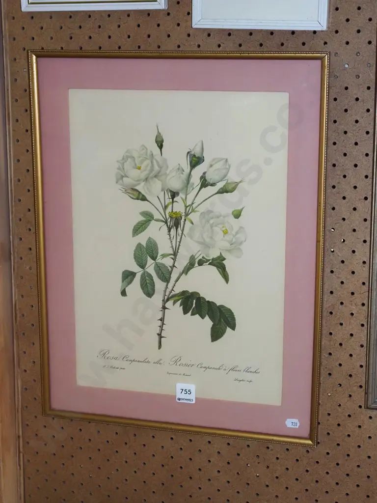 framed print - white roses Image 1++