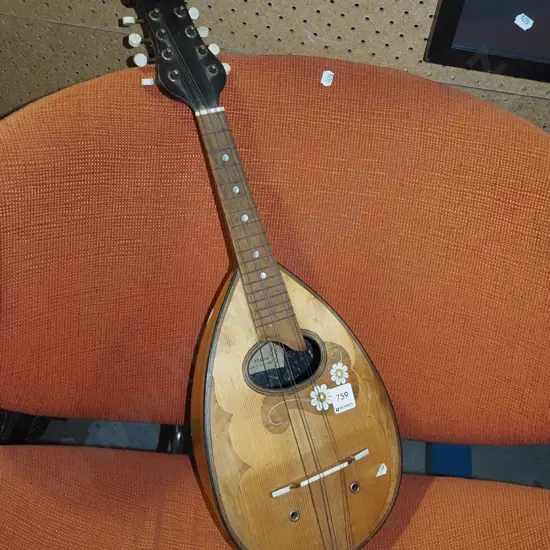 vintage round-back mandolin - missing some strings