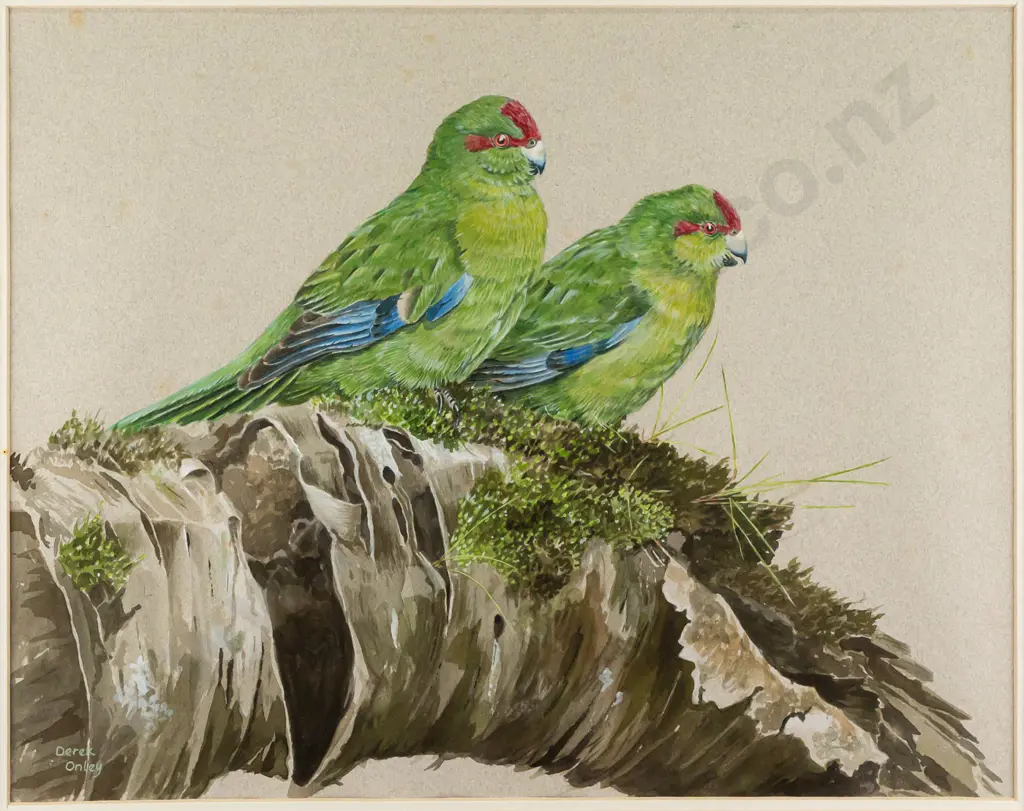 Derek Onley -- framed gouache on paper, two red-crowned kākāriki on mossy branch, H-320 W-410 Image 1++
