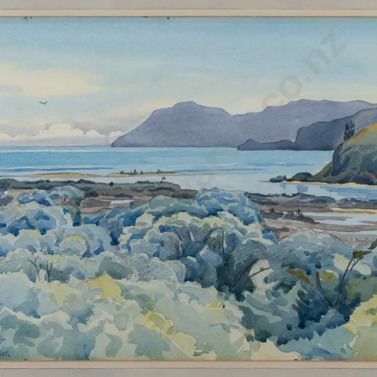 Marjorie Naylor -- framed watercolour on paper "Waitapu, from Birds' Hill, Takaka" H-265 W-365 [fading]